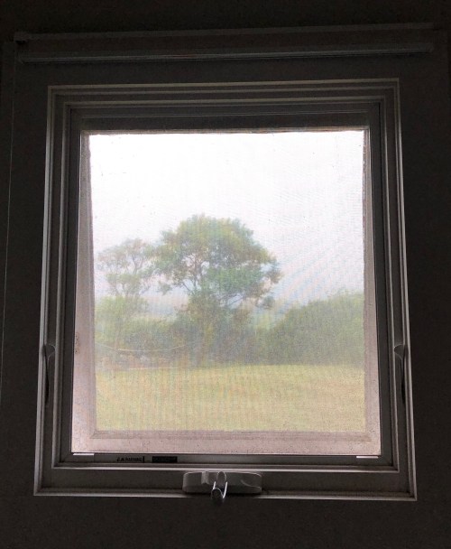 073119-bathroom-window-with-tree