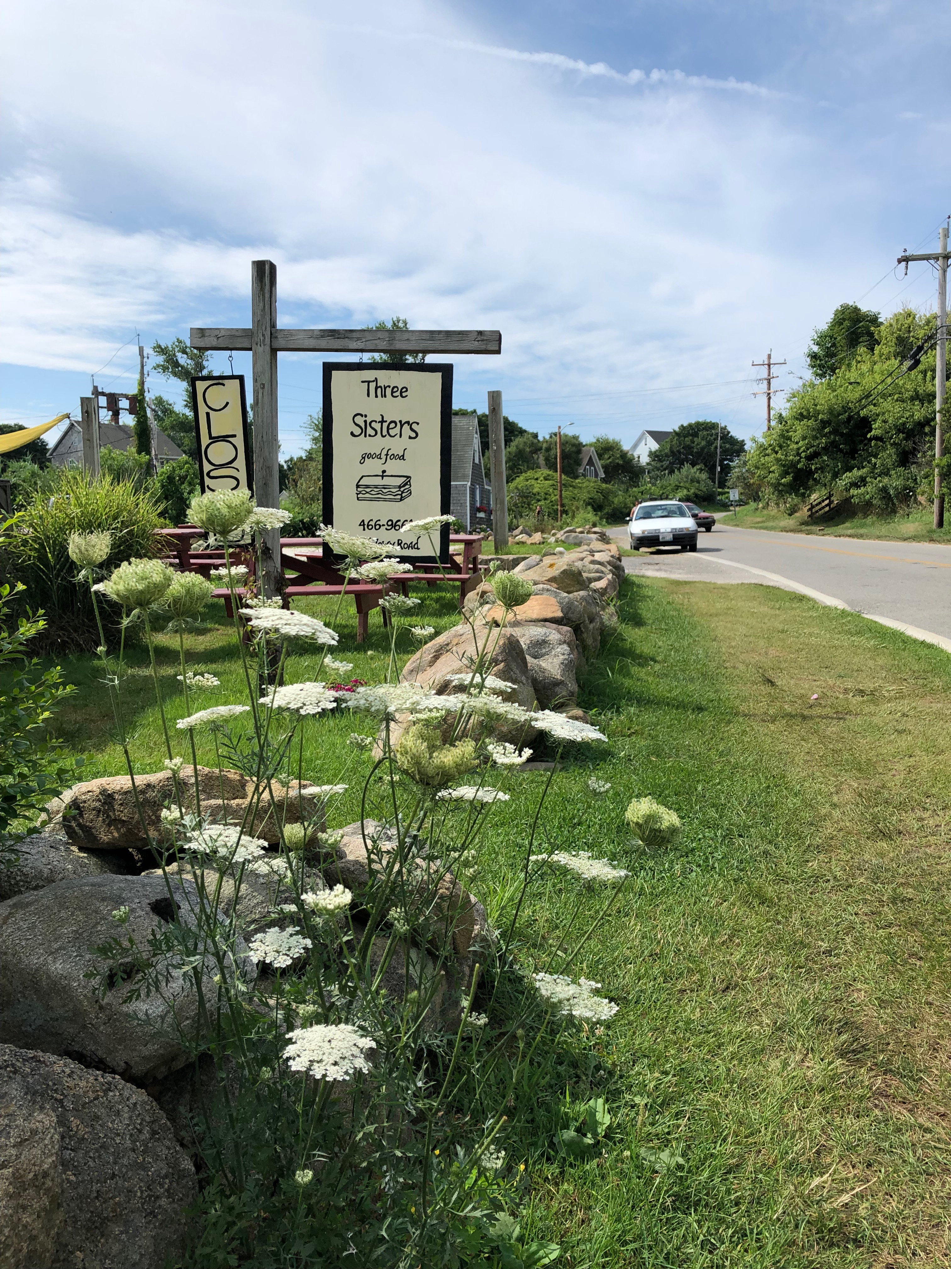 080119-.Queen-Anne's-Lace