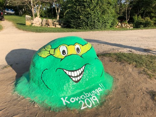 080219-Ninja-Turtle-Painted-Rock-B!