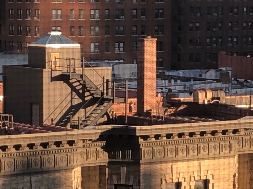 081119-early-shadows-on-ladder