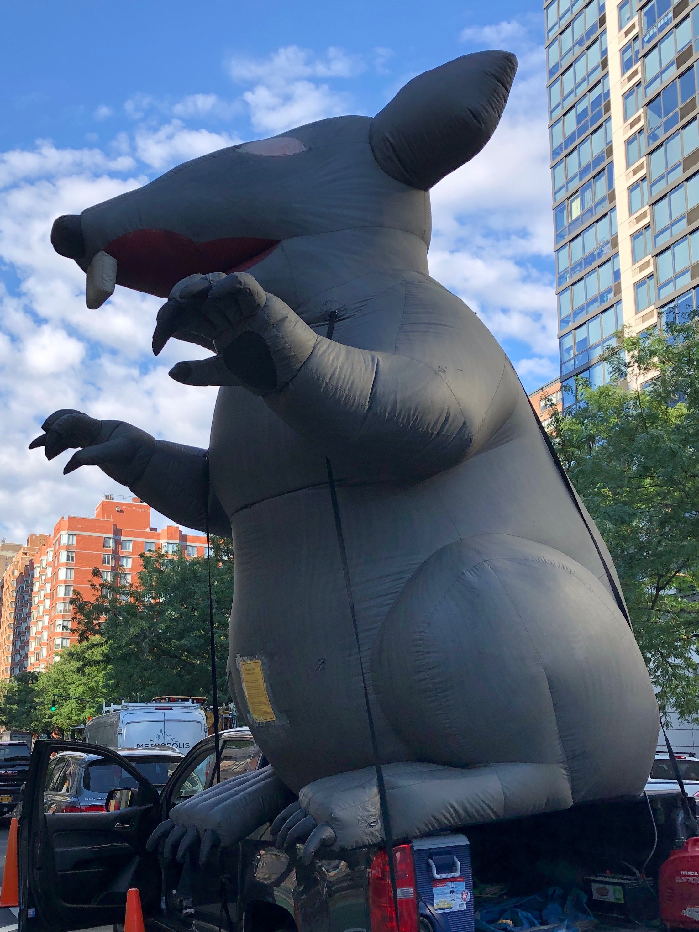 081219-NYC-rat