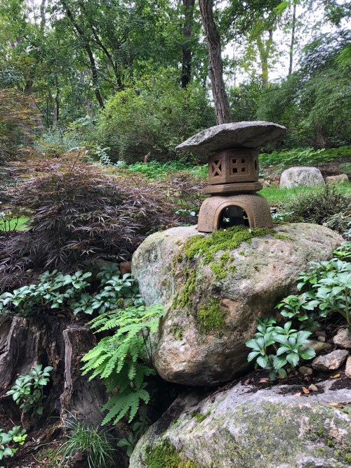 091219-Japanese-lantern