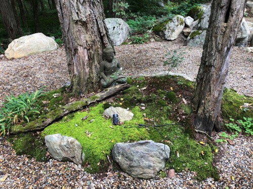 091219-Paul-Kelly-garden