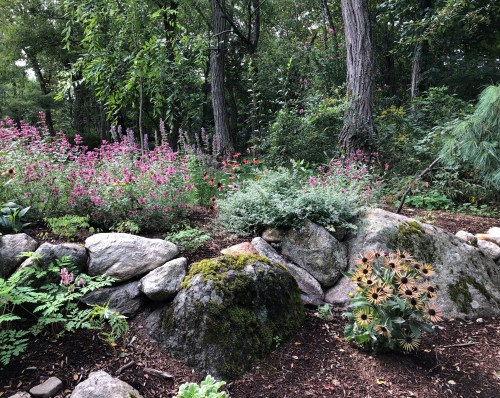 091219-Paul-Kelly-has-a-green-thumb