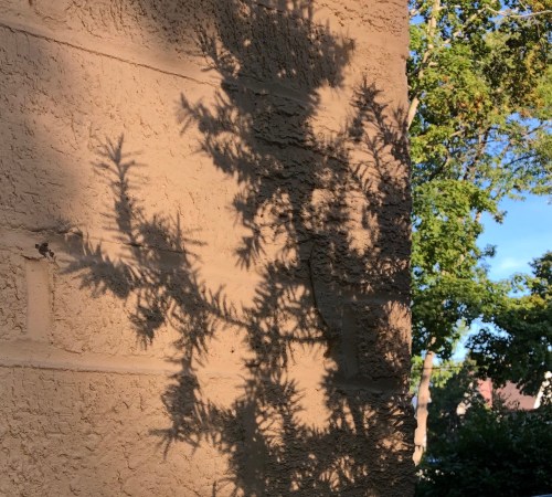 091319-shadows-on-cinderblock