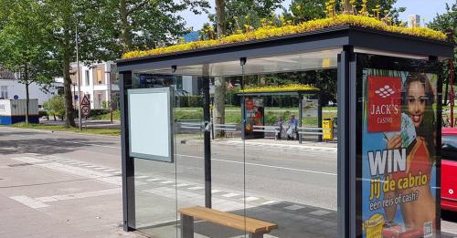 bus-stop-bees-1562873127347