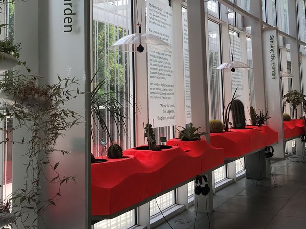 garden-1-68900ca38e336b897218a6c87d045f1c0de407fe-s600-c85