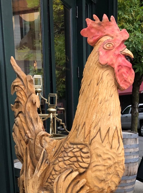 100819-Ellie-rooster-Providence