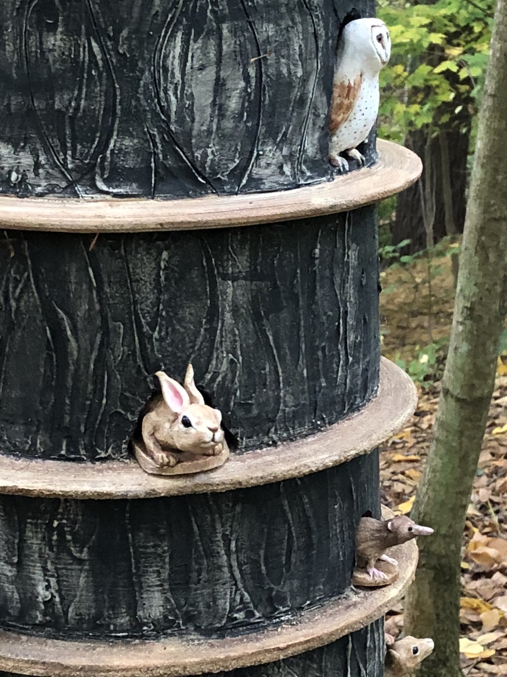 100919-some-endangered-some-not-2