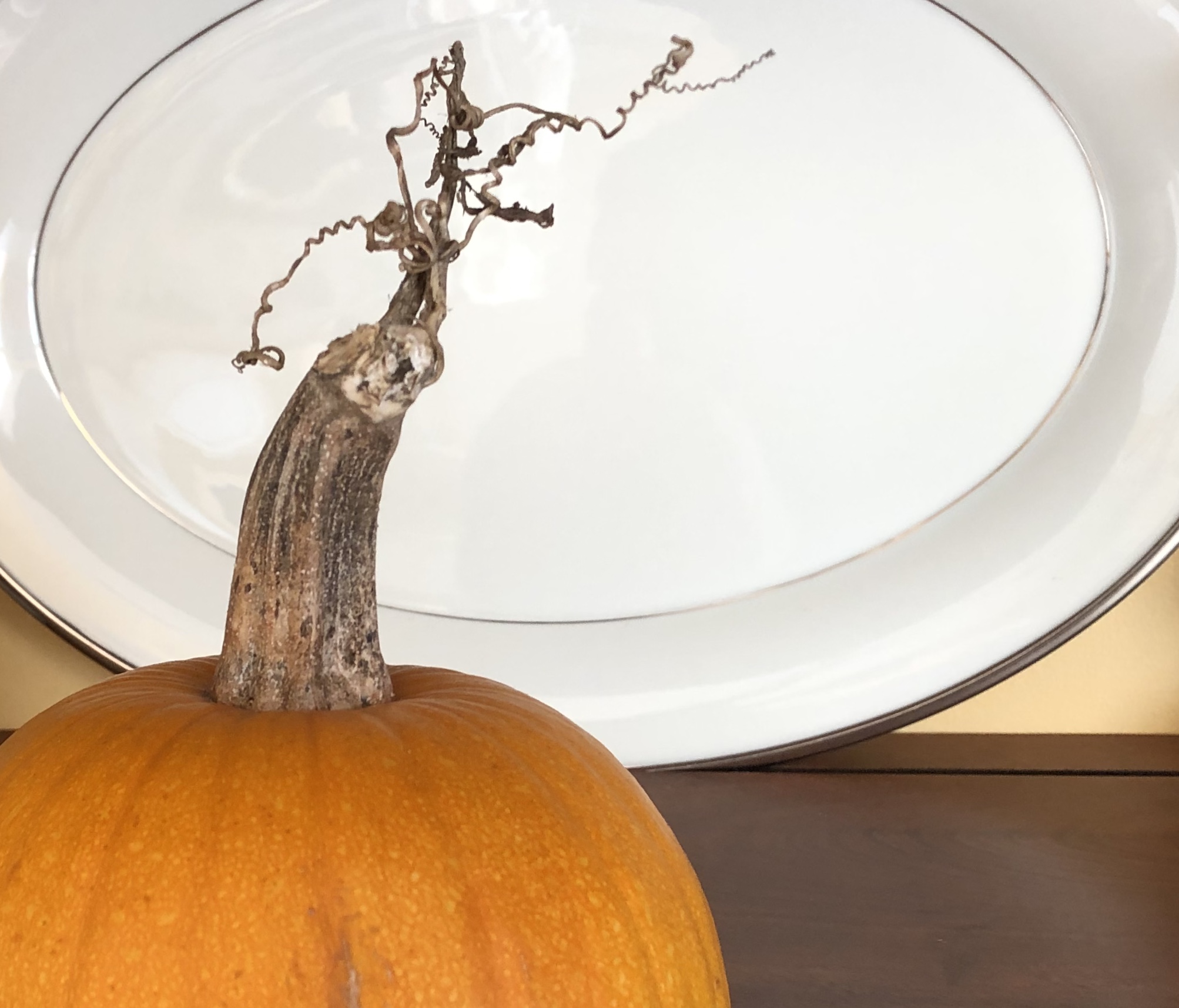 101319-curly-pumpkin-stem