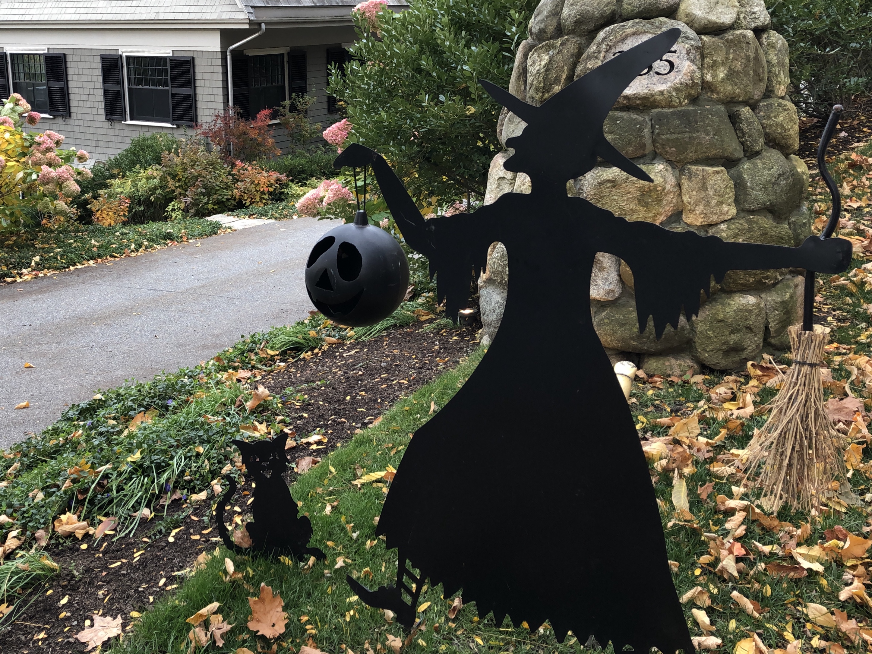 102519-Halloween-witch