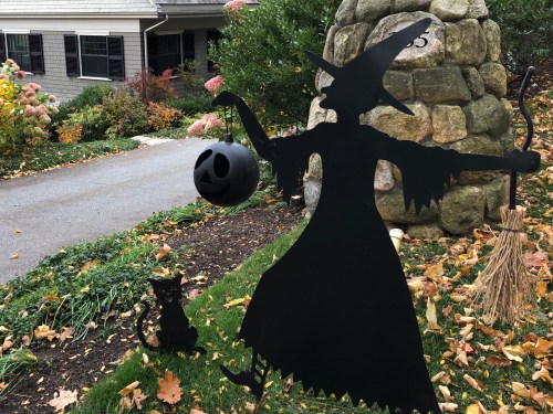 102519-Halloween-witch