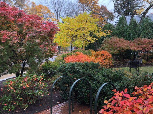 102719-fall-color-combo