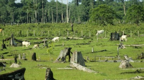 gettyimages-184252072_wide-edf142f608a14a15dc359bdb75c9dc5bacda4ae4-s600-c85