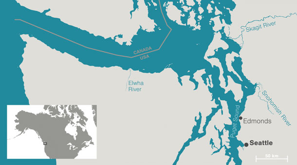 beaver-map-saltwater-beavers