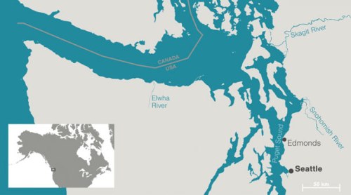 beaver-map-saltwater-beavers