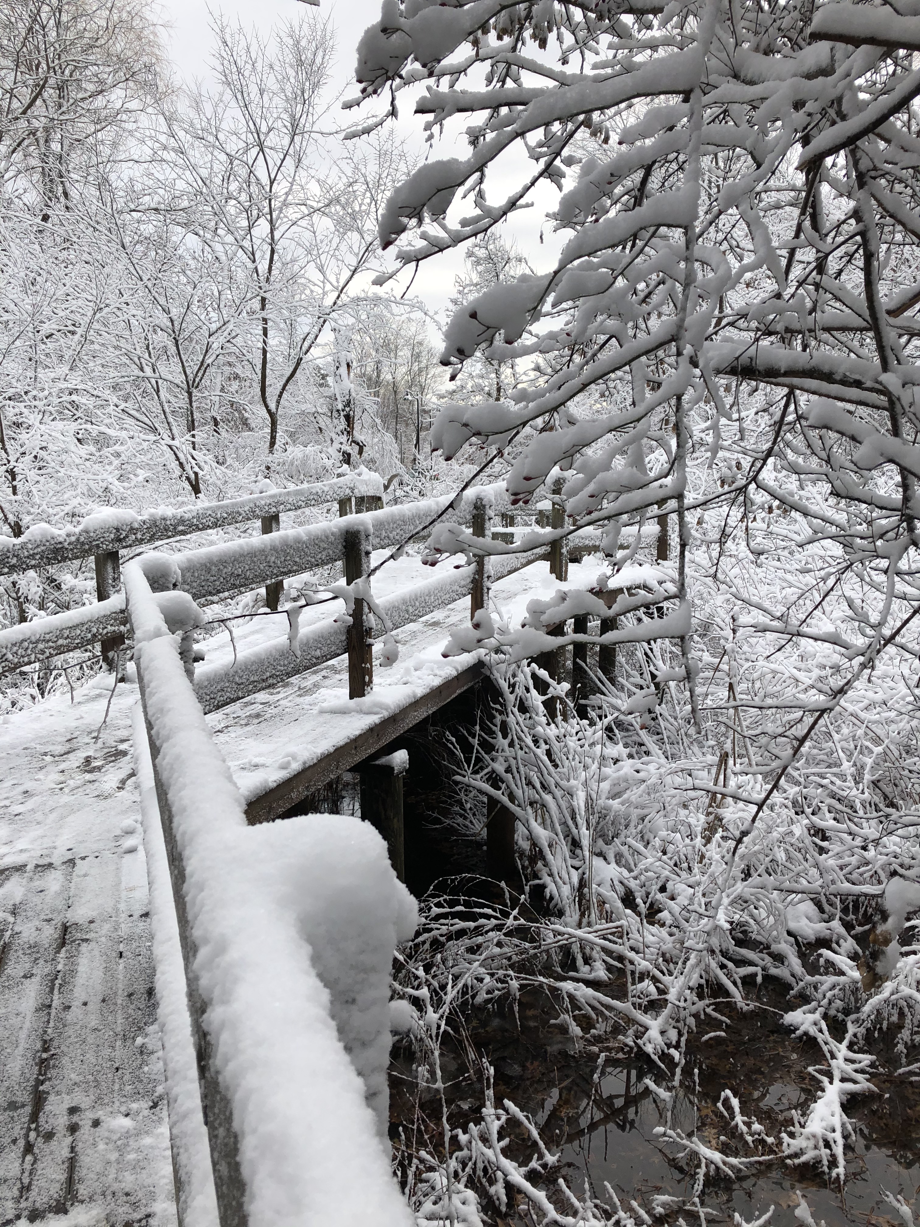 121119-footbridge-in-snow