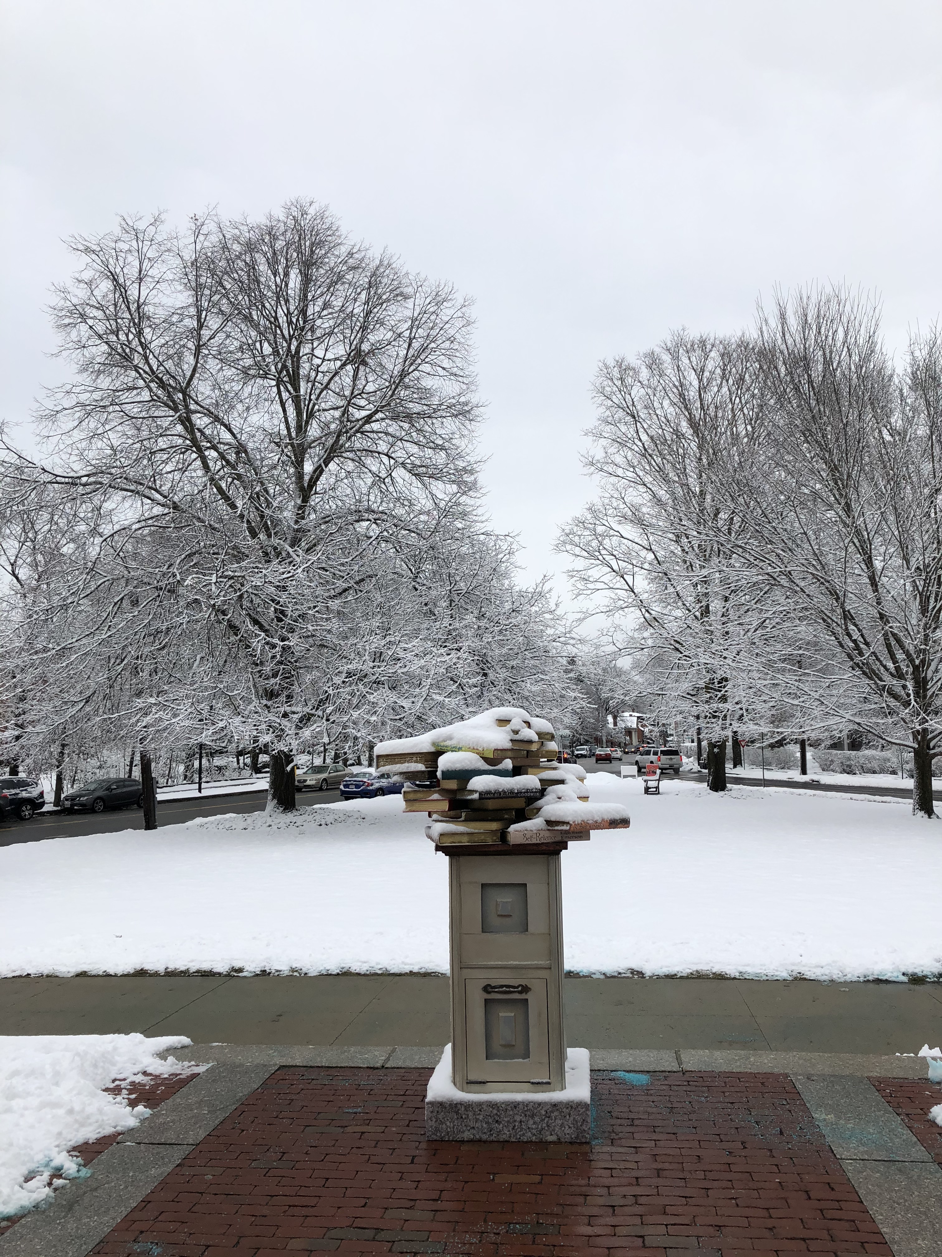 121119-library-book-pedestal-in-snow