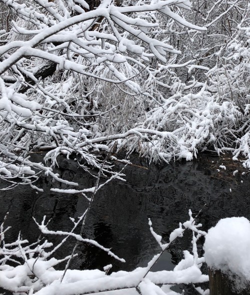 121119-snow-decorates-stream