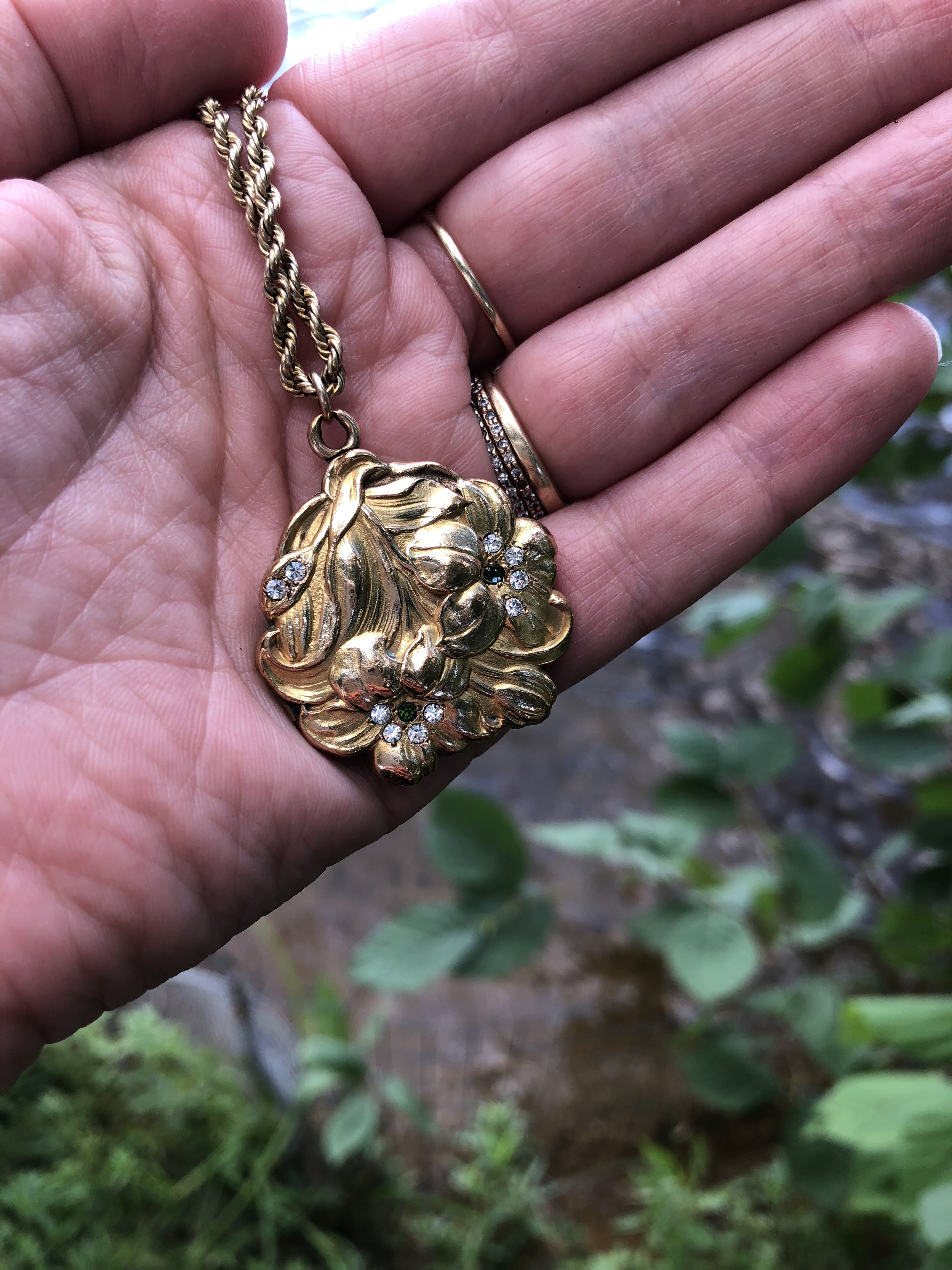 2019-locket-Suzanne-found-for-Nell