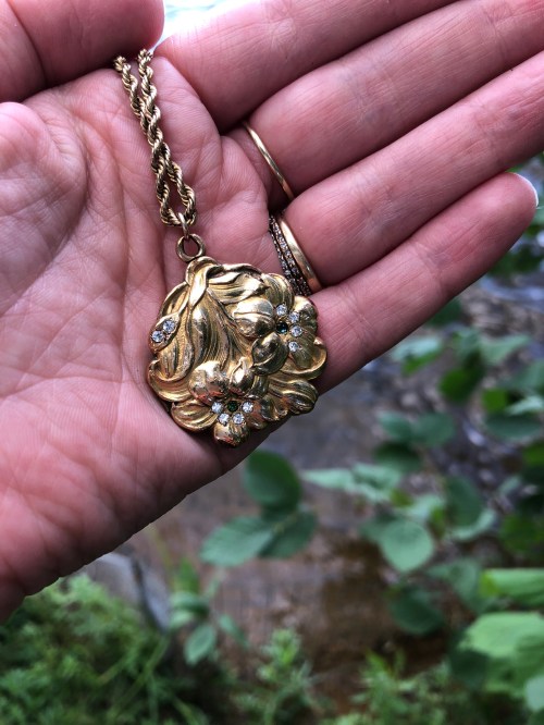 2019-locket-Suzanne-found-for-Nell