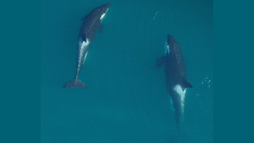 80ced23a-0936-4595-a3aa-f67f8329d099_750x422