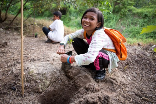 webb-young-girl-plants-seedling