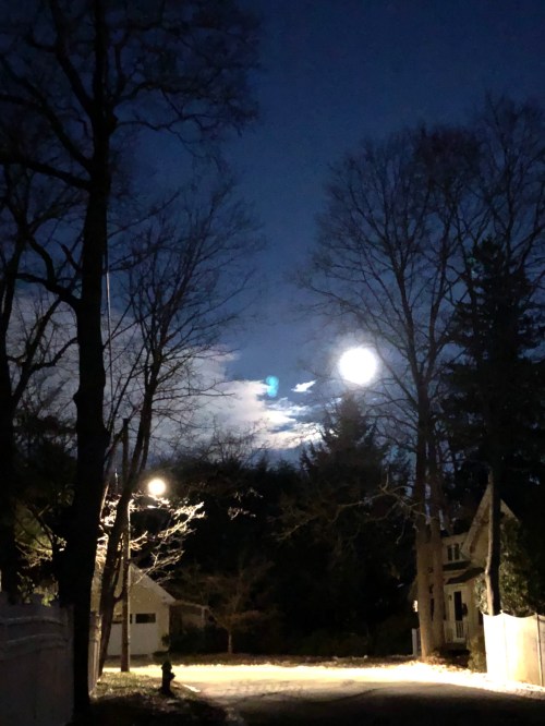 020820-Magritte-moon