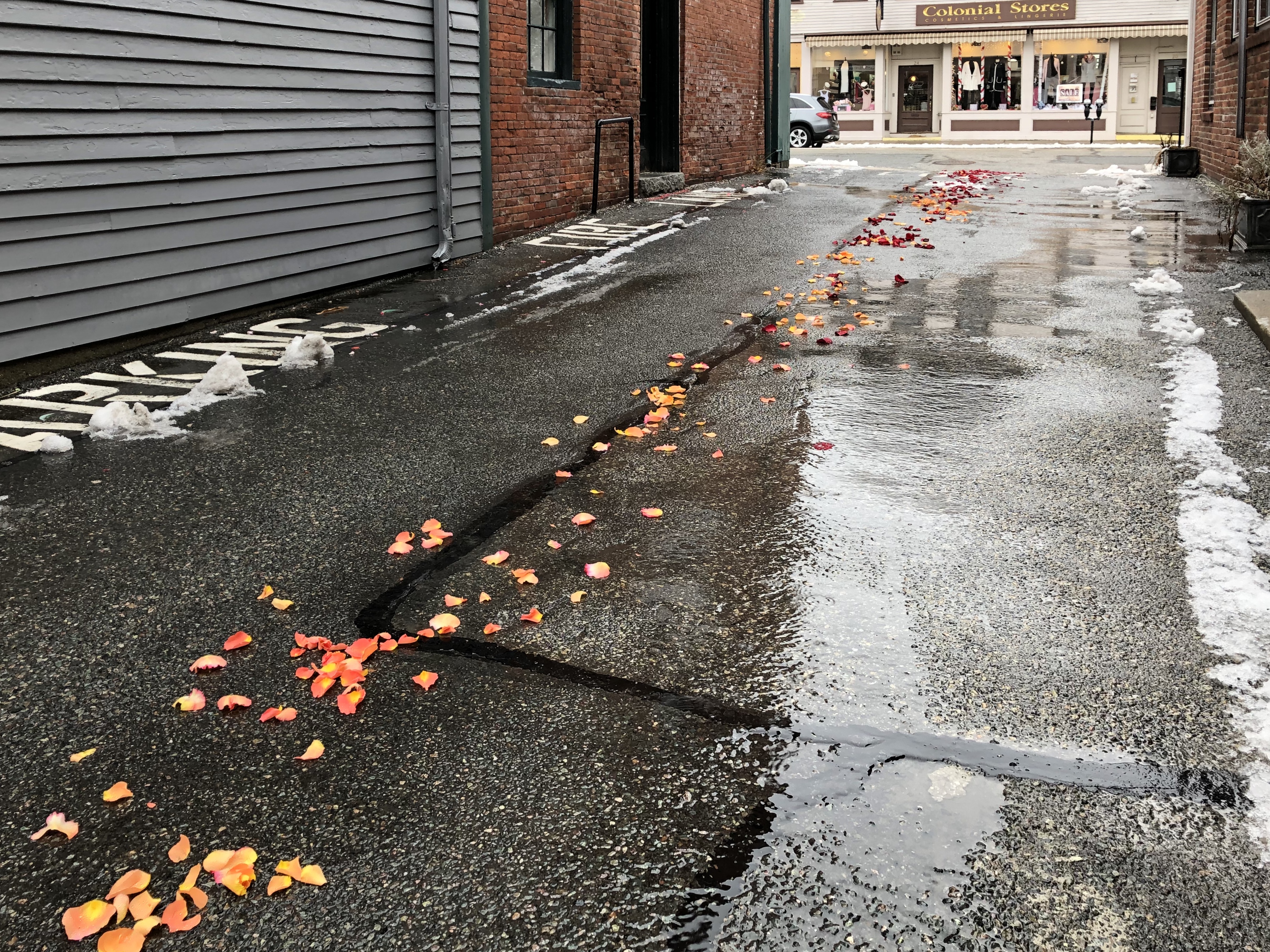 021320-rose-petal-path-to-florist