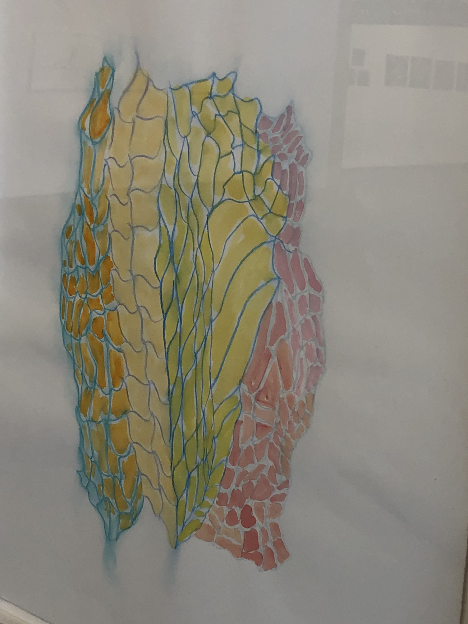 021720-no-idea-but-I-like-it