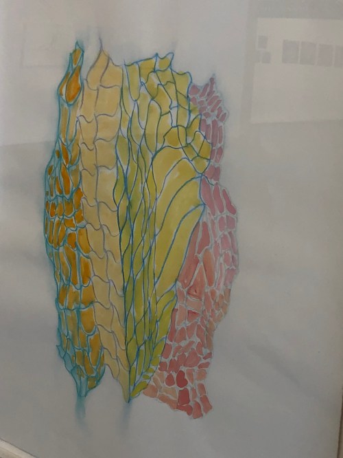 021720-no-idea-but-I-like-it