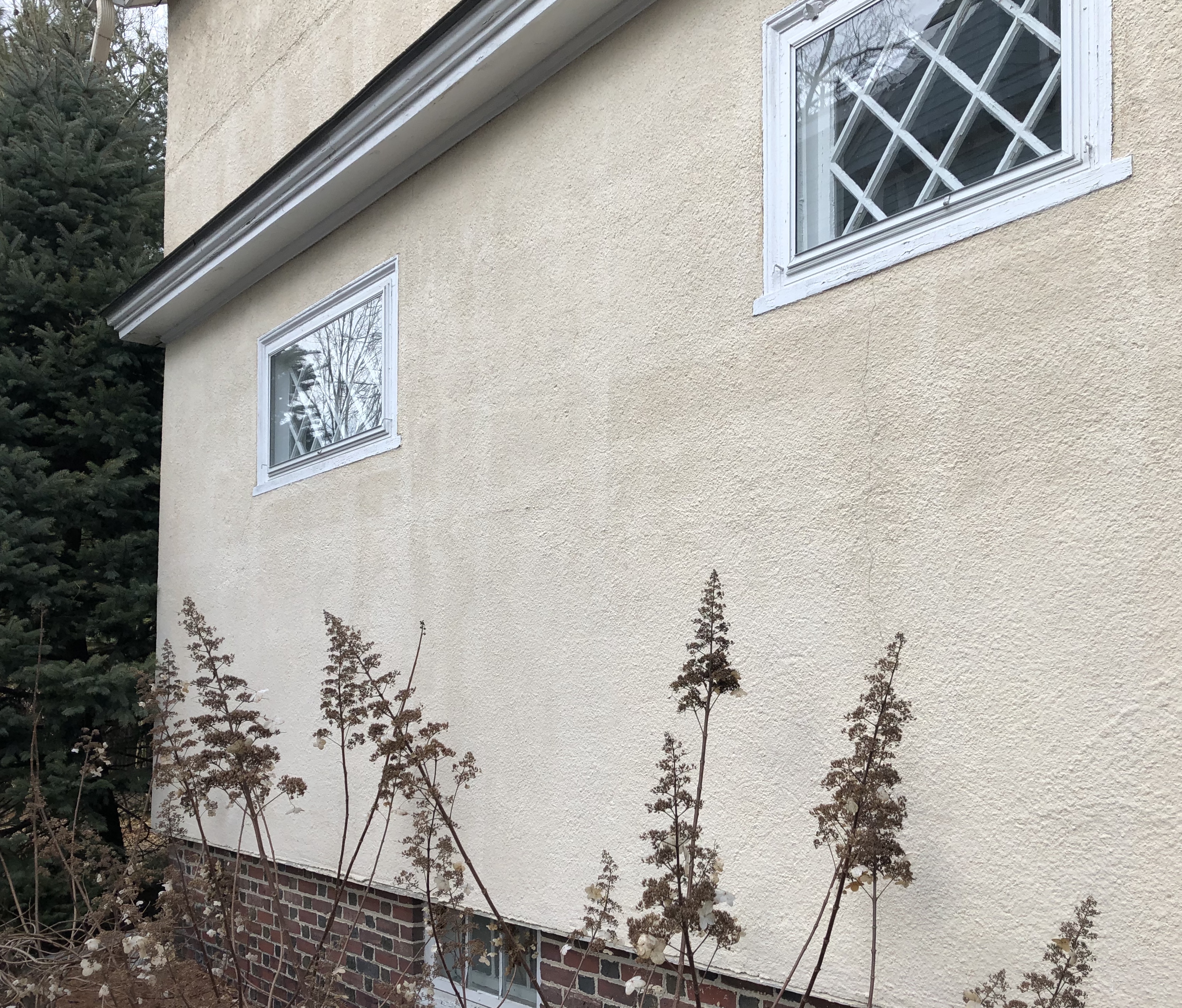 030320-dead-flowers-under-windows