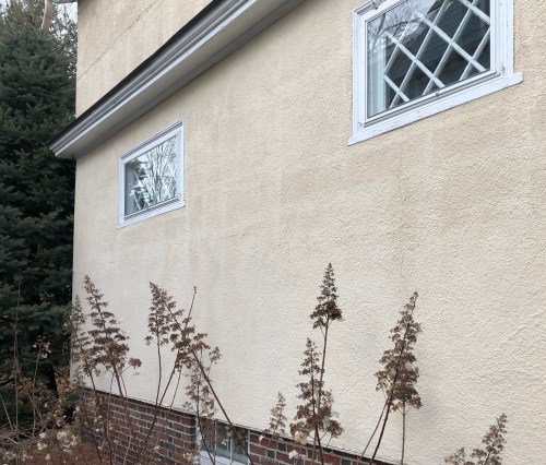 030320-dead-flowers-under-windows