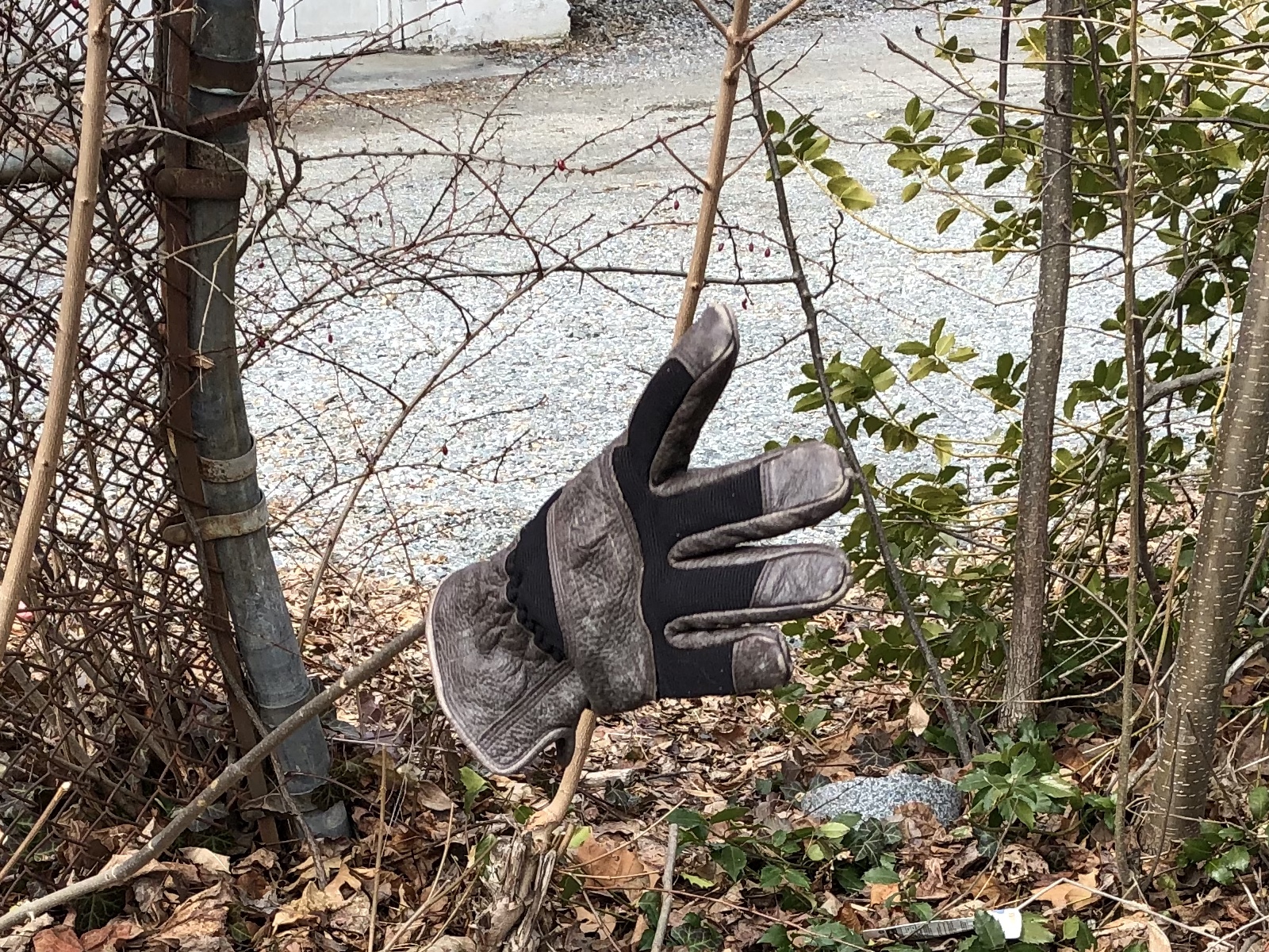 030420-another-floating-glove
