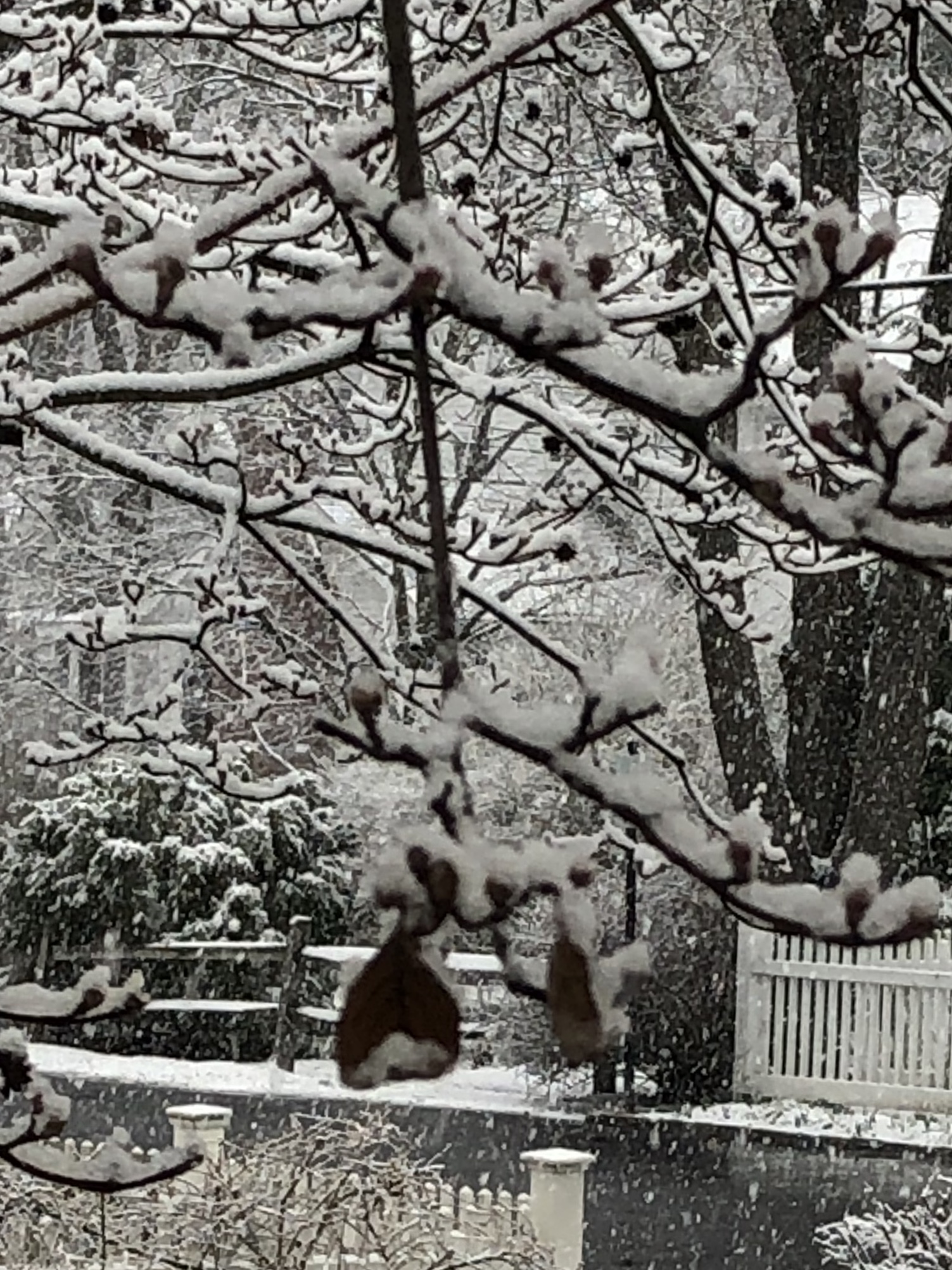 032320-March-we-hardly-knew-ya