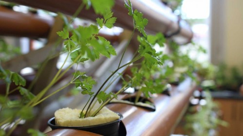 2020-02-19-zaatari-mattress-02