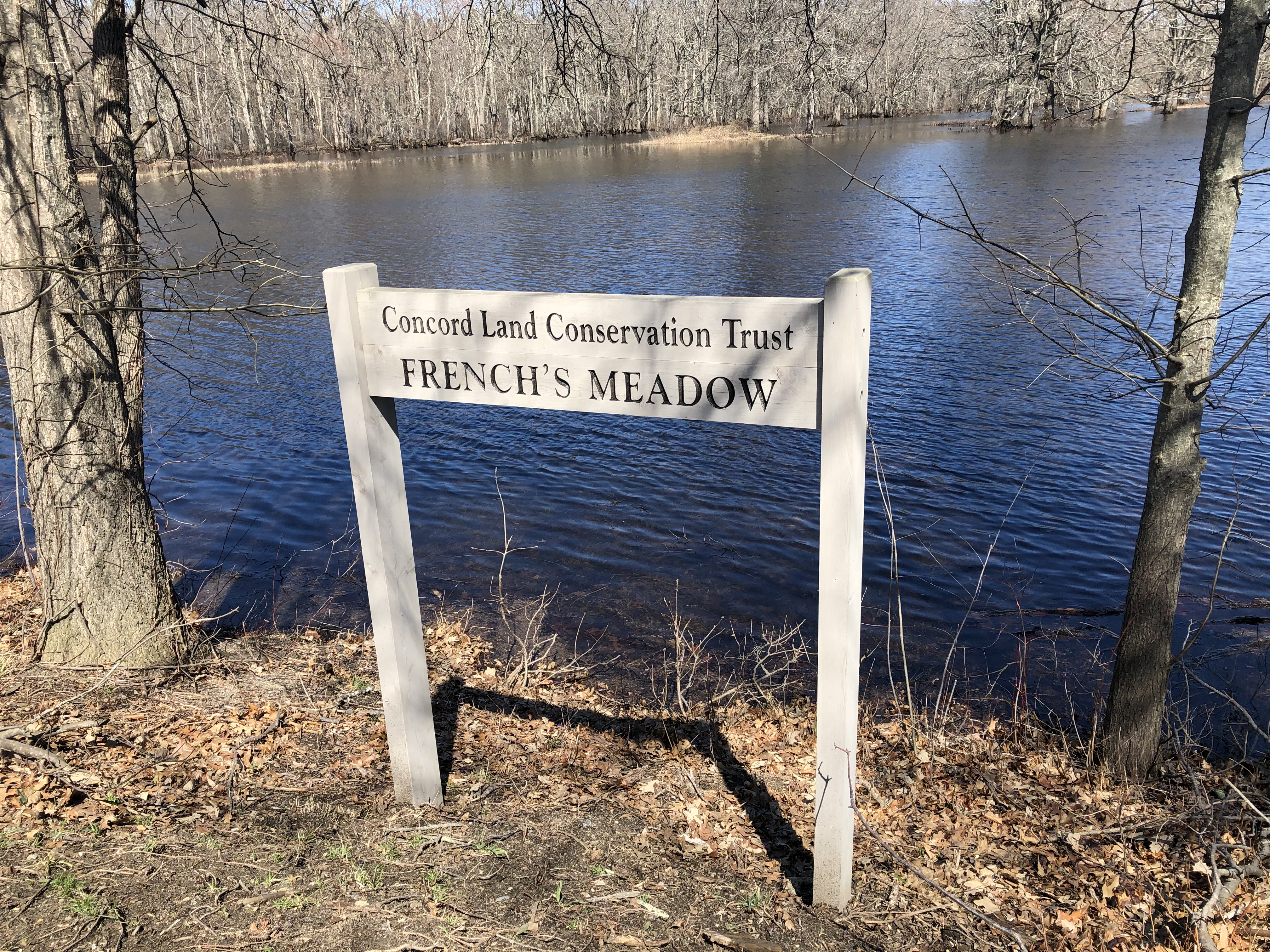 033120-underwater-meadow