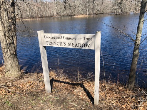 033120-underwater-meadow