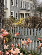 040220-flowering-bushes