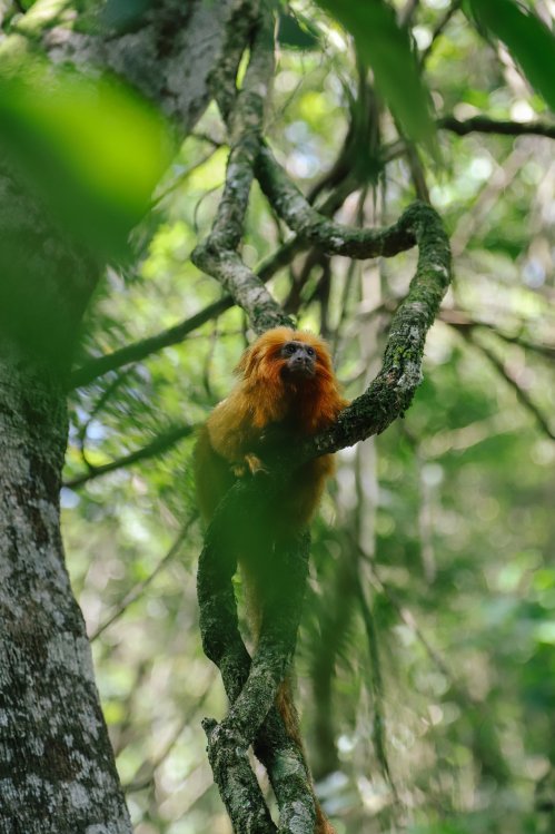 merlin_163064895_235f5cd5-5733-41b5-a037-4062b743e933-superjumbo