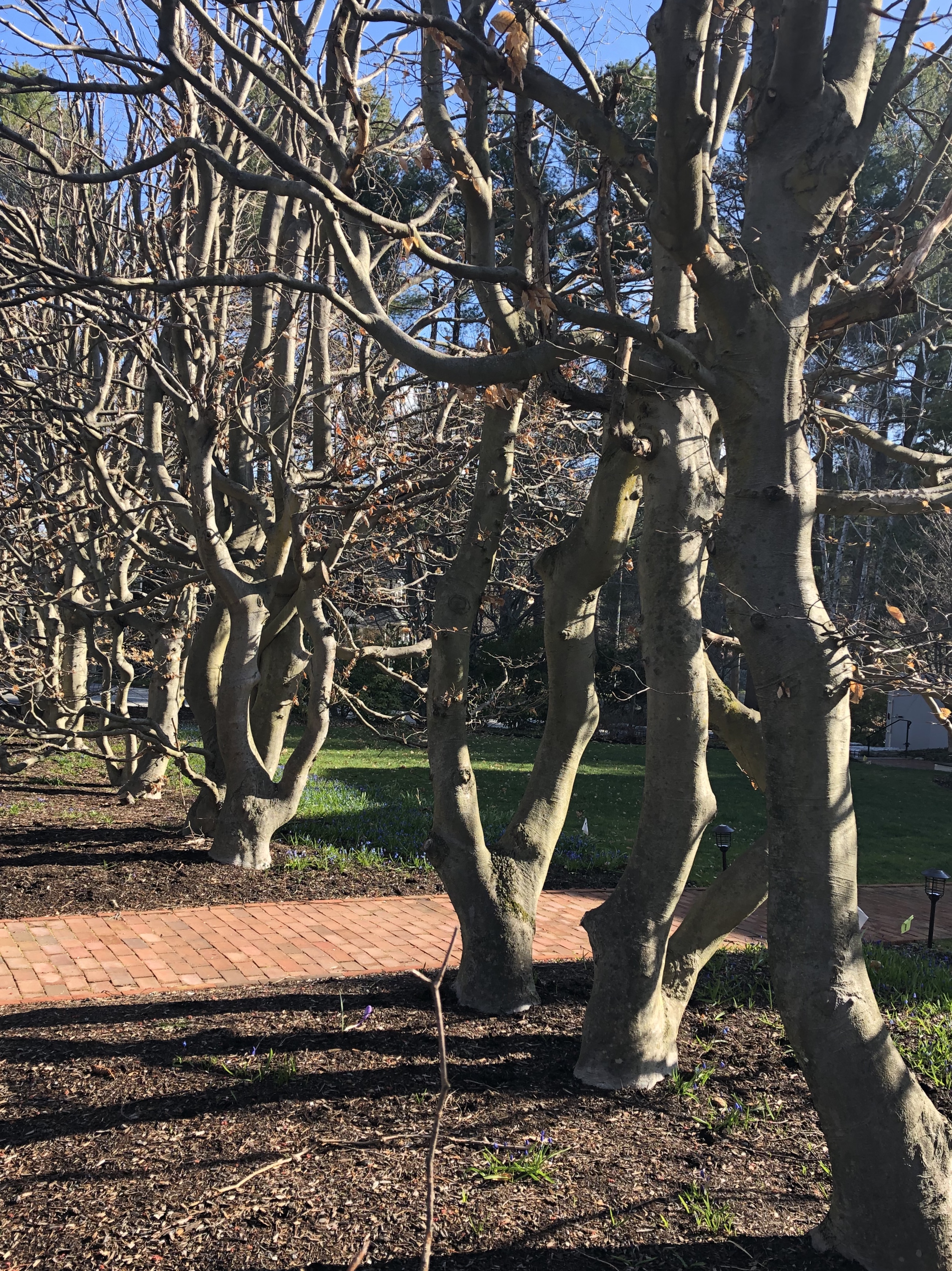 041020-Nature-is-waiting