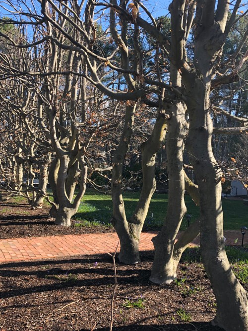 041020-Nature-is-waiting