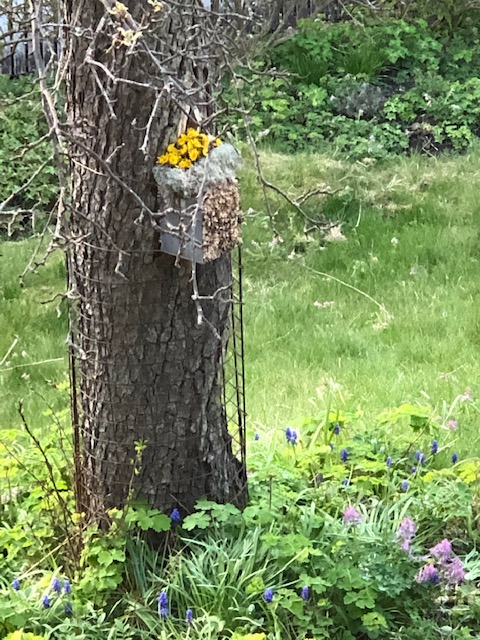 042520-bee-hotel-with-dandelions-Sweden