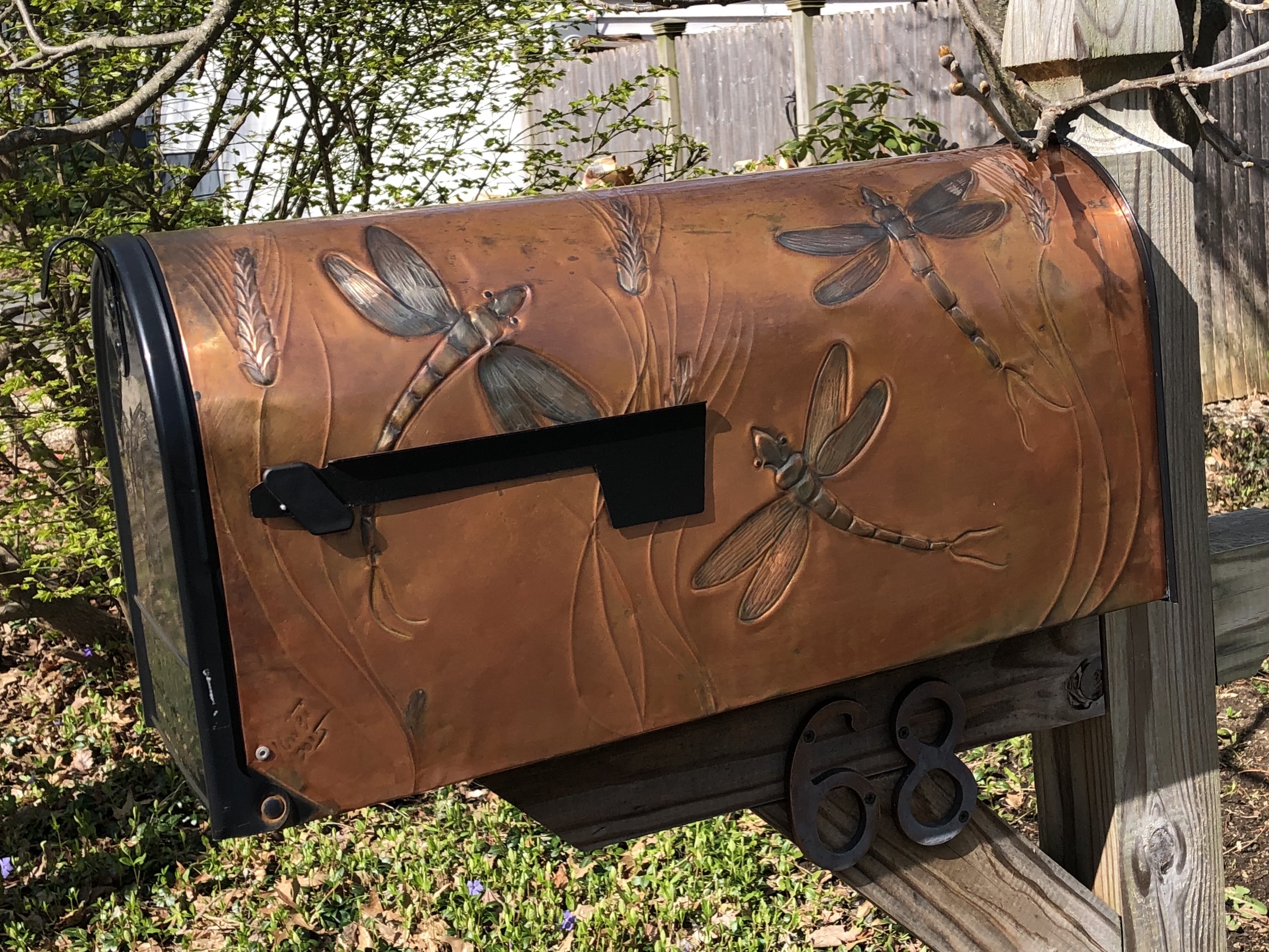 042920-dragonfly-mailbox