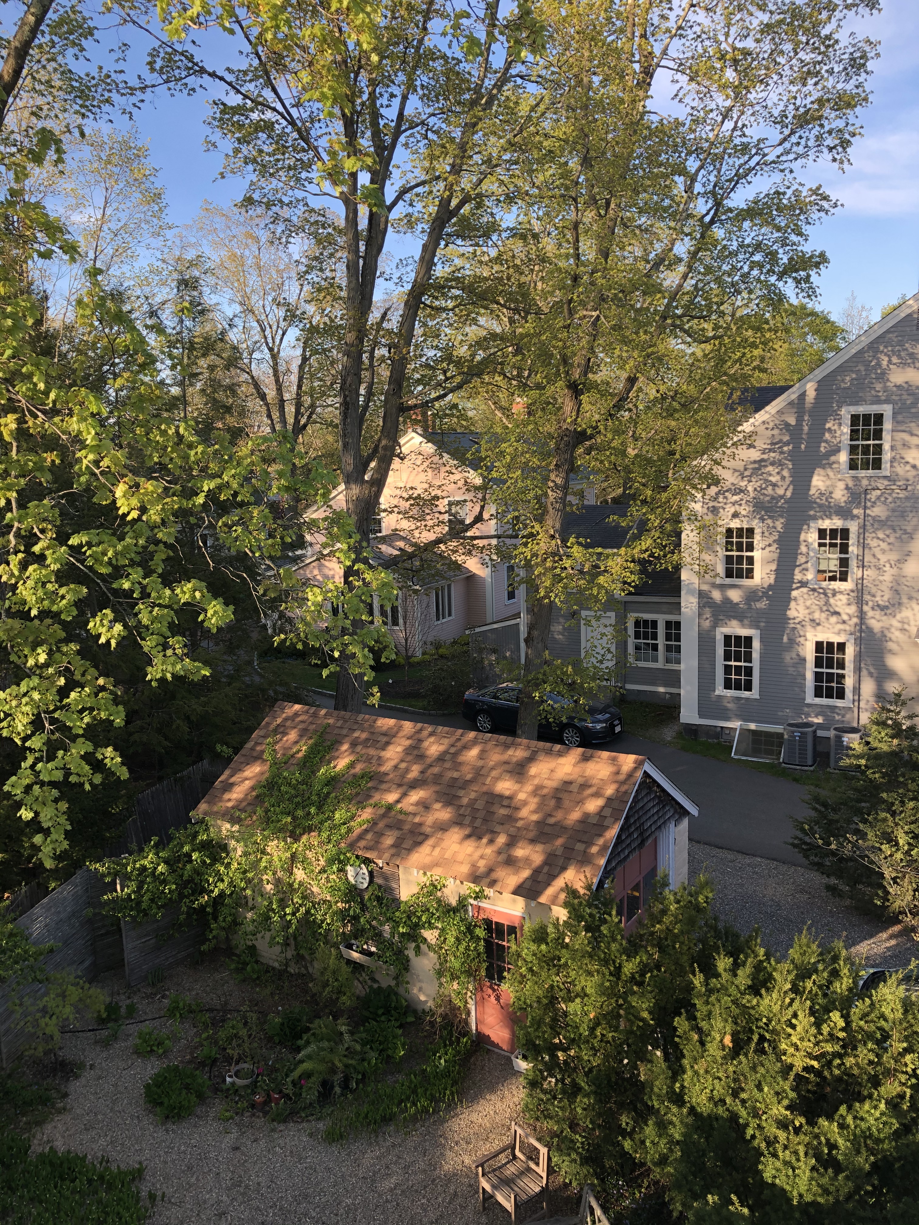 050520-shadows-in-the-neighborhood