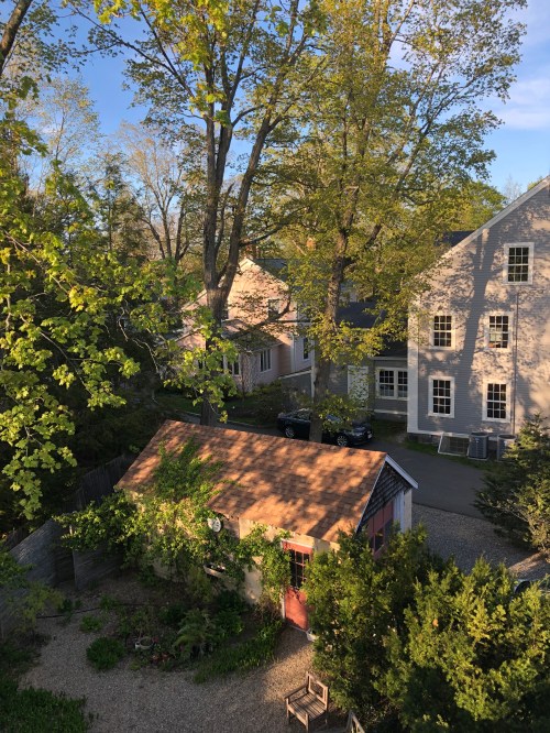 050520-shadows-in-the-neighborhood