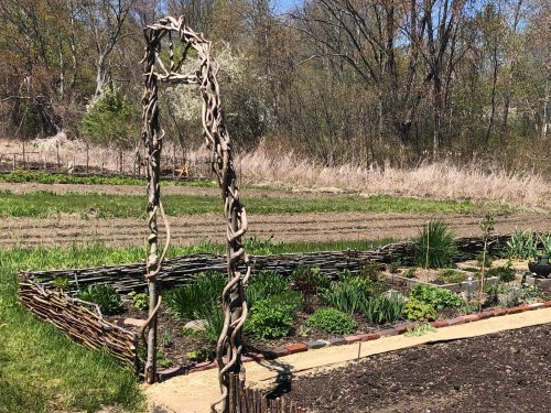 051420-prepping-a-community-garden