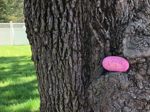 052020-kindness-rock-in-tree