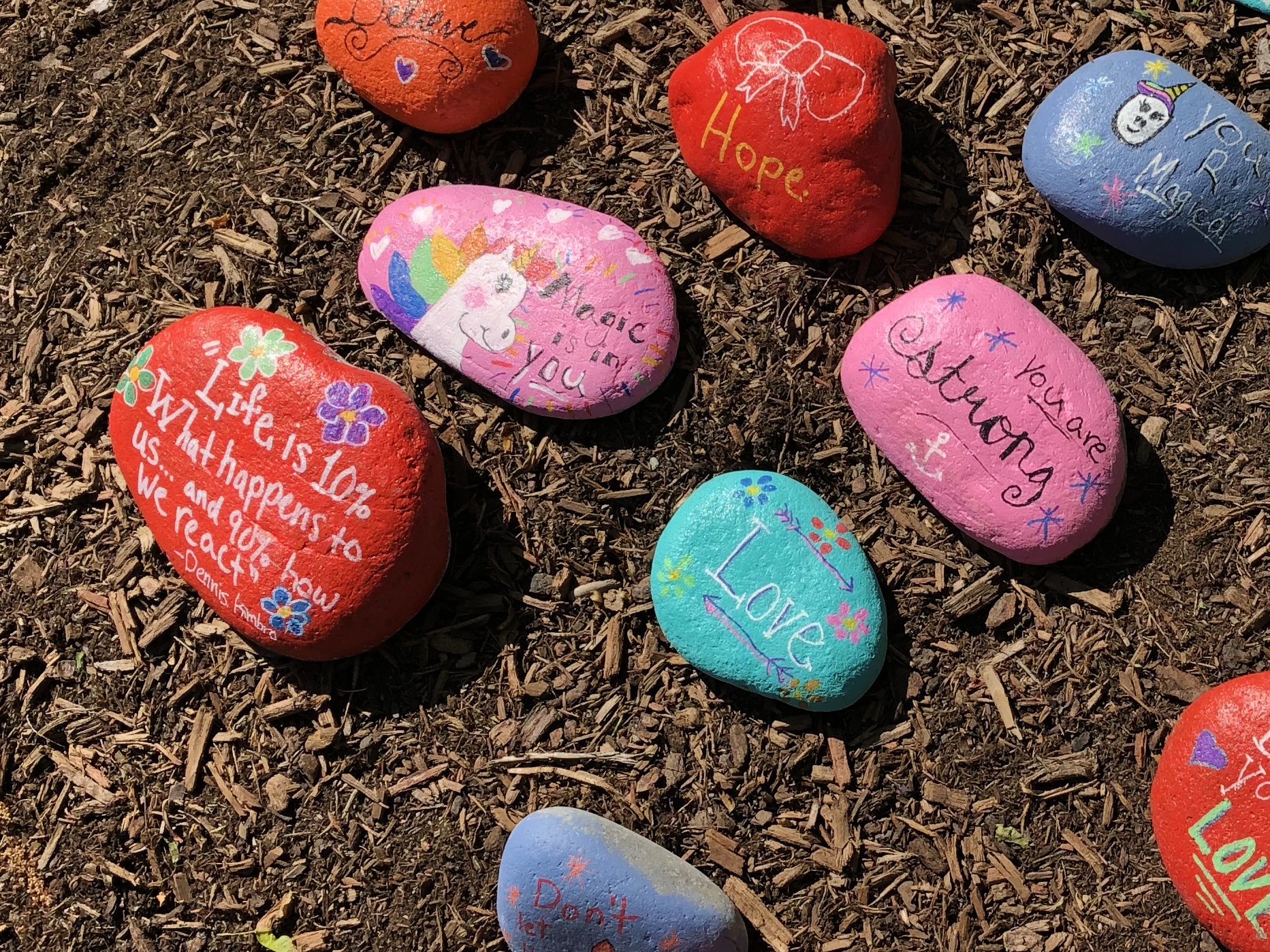 052020-rocks-sold-for-food-bank