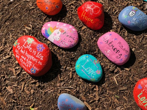 052020-rocks-sold-for-food-bank